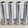 Titanium Bolts